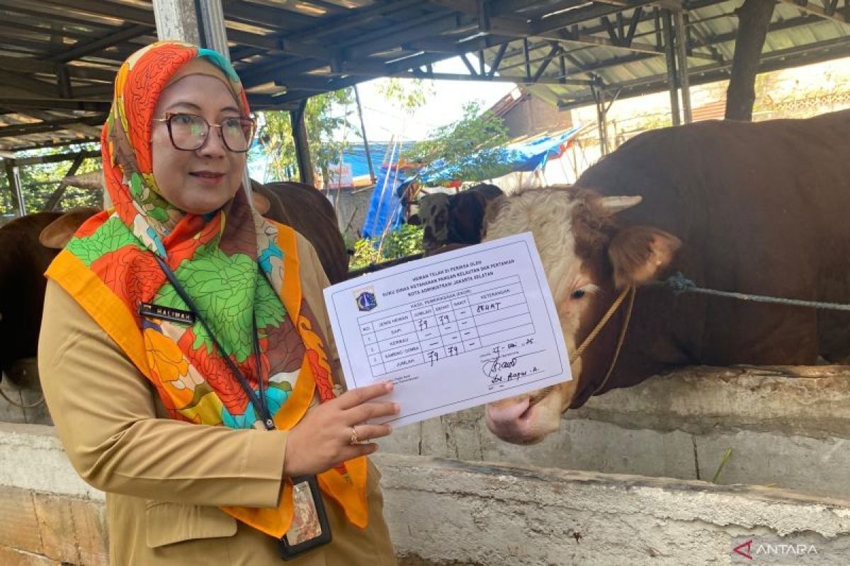 Pedagang diingatkan untuk karantina terlebih dahulu hewan kurban yang sakit