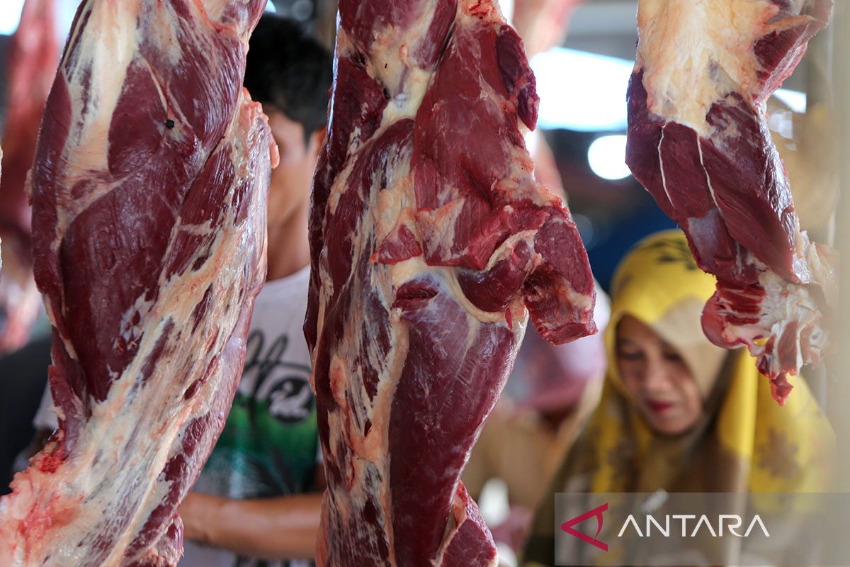 FOTO - Kenaikan harga daging jelang tradisi meugang Idul Adha