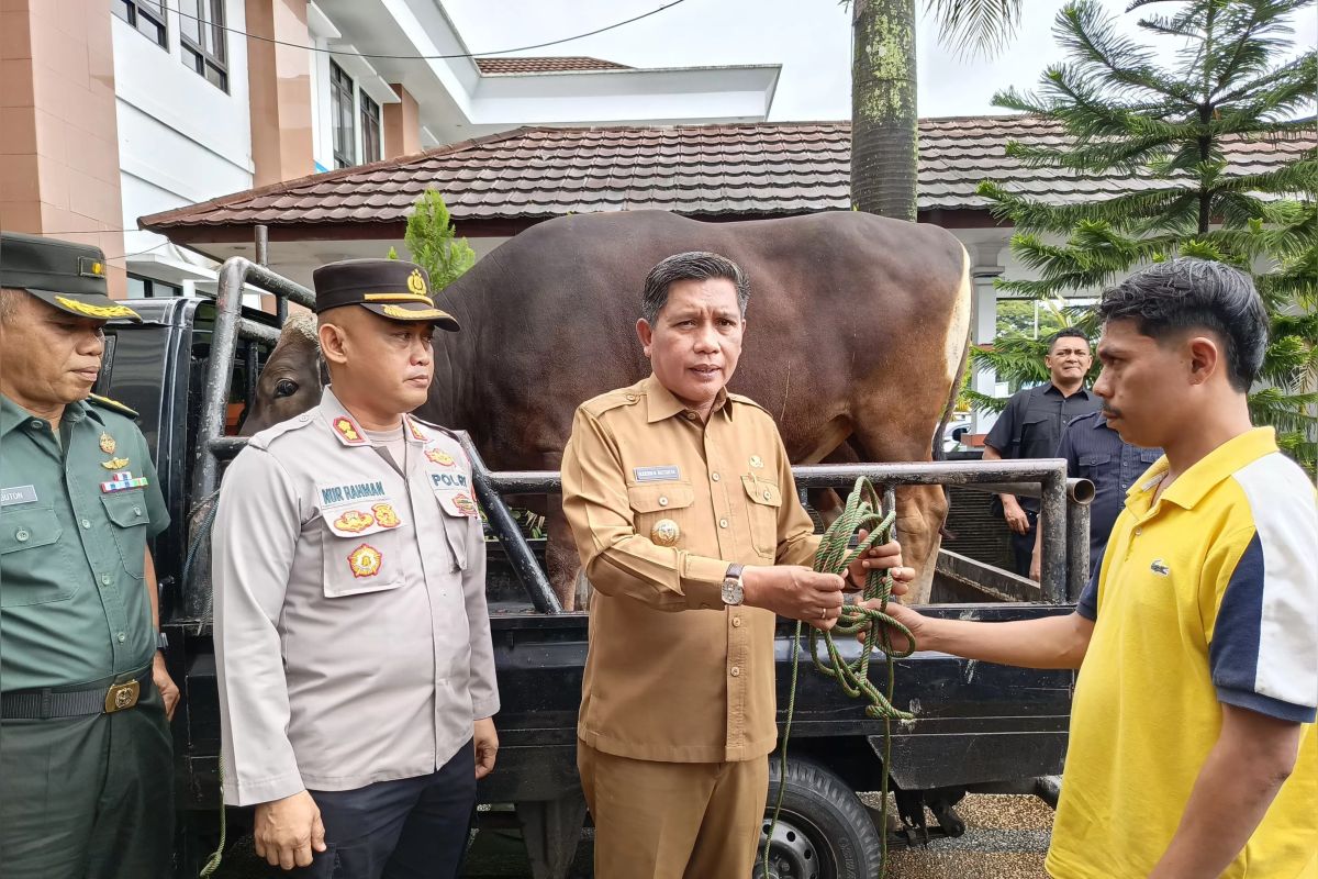 Jelang Idul Adha, Pemkot Ambon salurkan bantuan 115 hewan kurban untuk sejumlah masjid