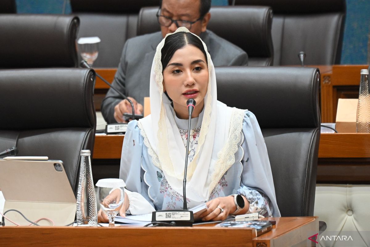 DPR RI: Tak ada kompromi untuk tambang nikel di Raja Ampat