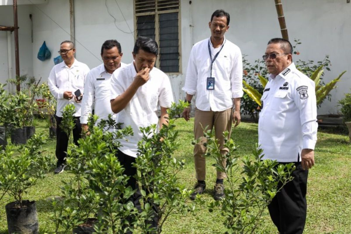 Wesly ajak warga Kota Pematangsiantar manfaatkan pekarangan rumah