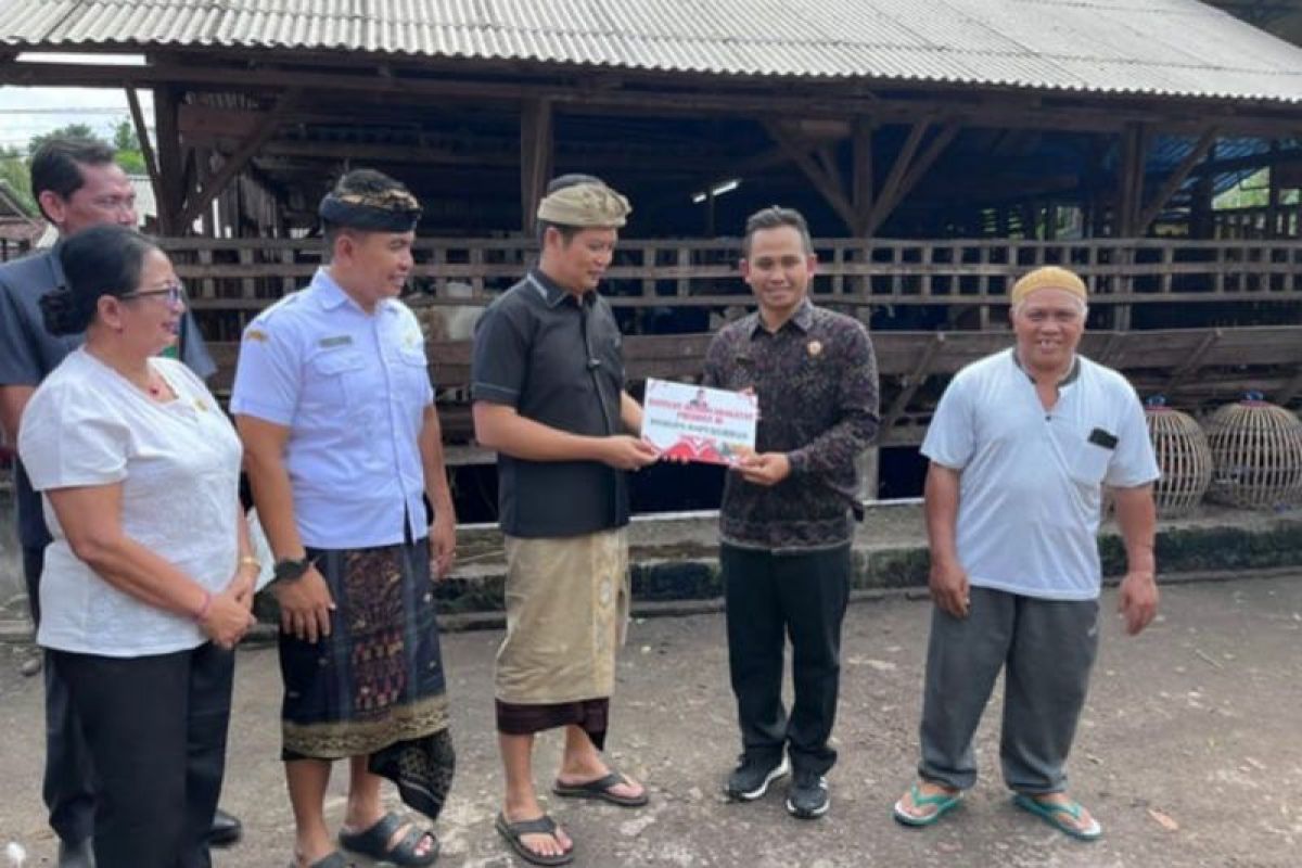 Presiden Prabowo berkurban sapi di Jembrana