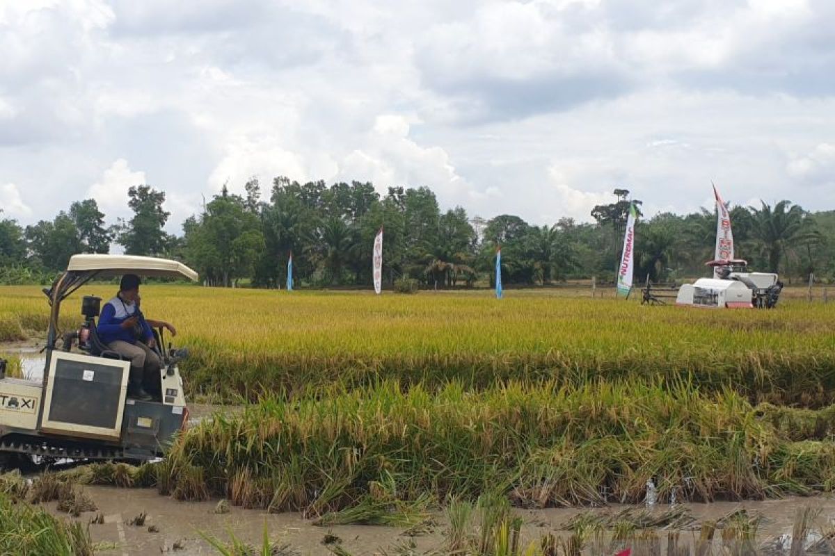 Sumsel target tambah produksi padi sebanyak satu juta ton