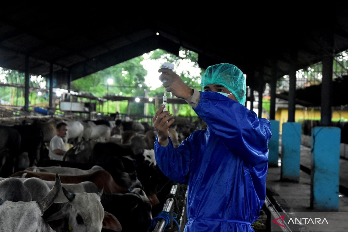Jumlah hewan kurban yang diperjualbelikan di Kabupaten Bekasi turun 18 persen
