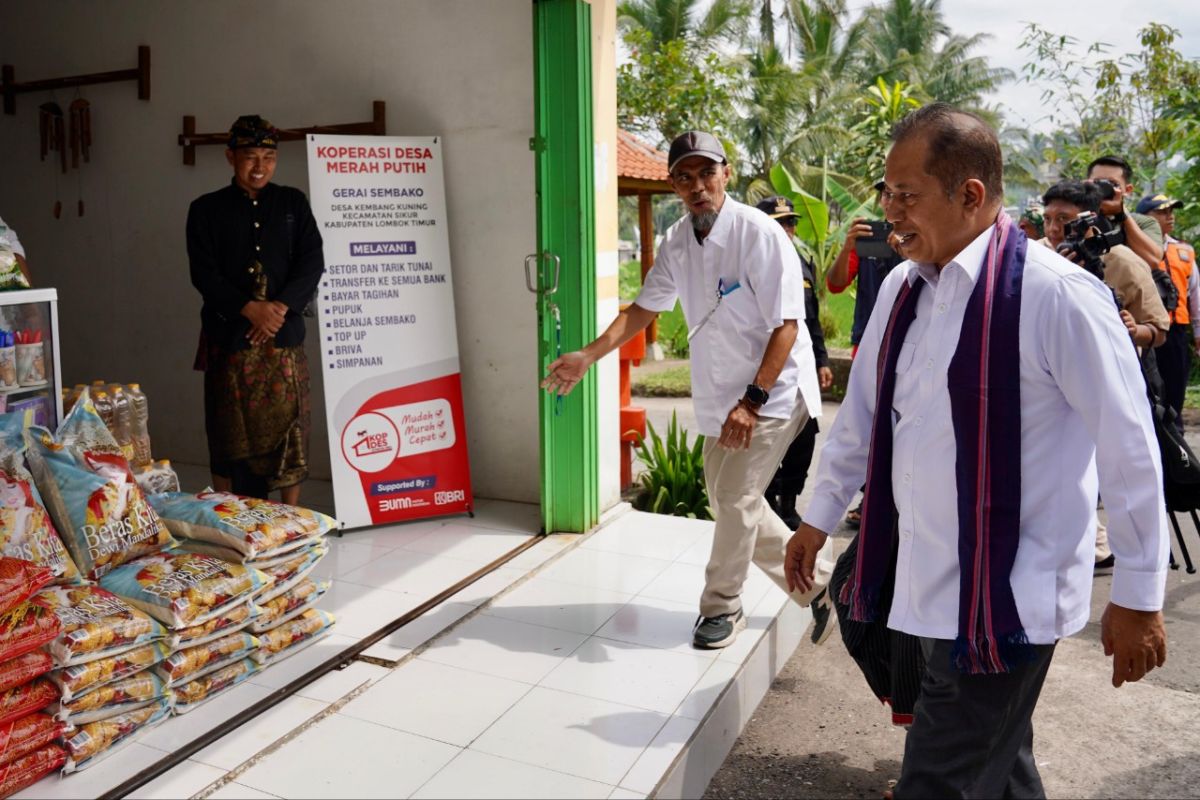 CORE: Kopdes Merah Putih bisa jadi pilar kemandirian desa