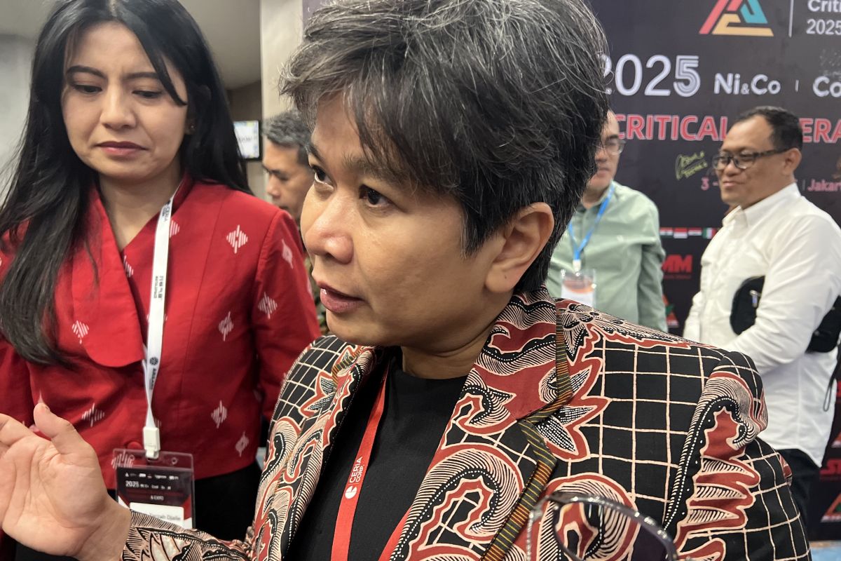 Inalum: Tarif impor baja dan aluminium  AS tak pengaruhi kinerja ekspor