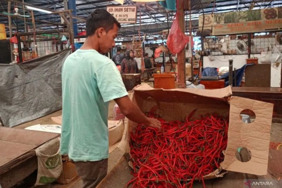 Bapanas: Harga cabai rawit Rp48.457/kg, bawang merah Rp38.525/kg