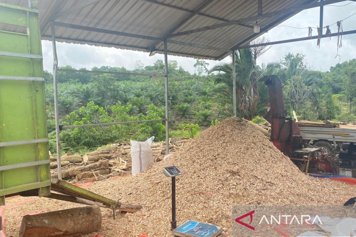Aktivitas Co-Firing biomassa untuk PLTU buka peluang kerja di Konsel