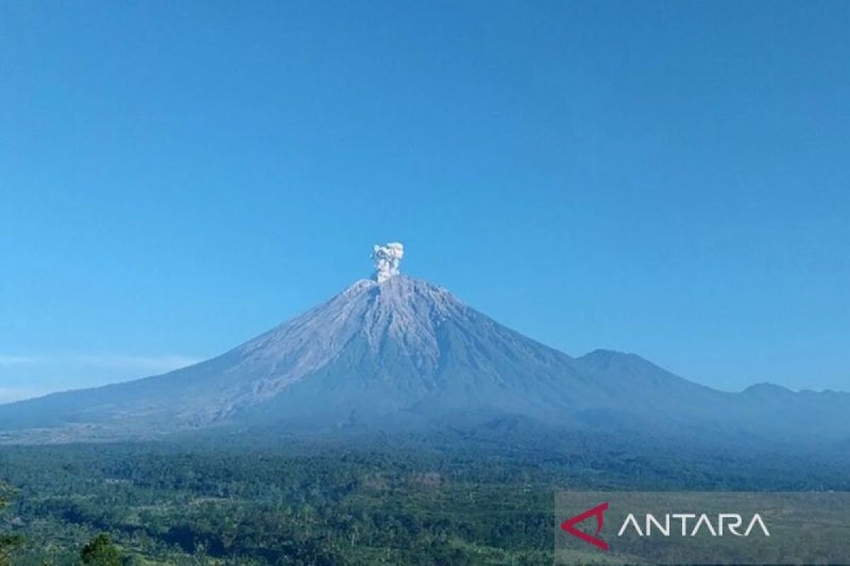 Gunung Semeru erupsi kembali Rabu pagi, tinggi letusan capai 800 meter