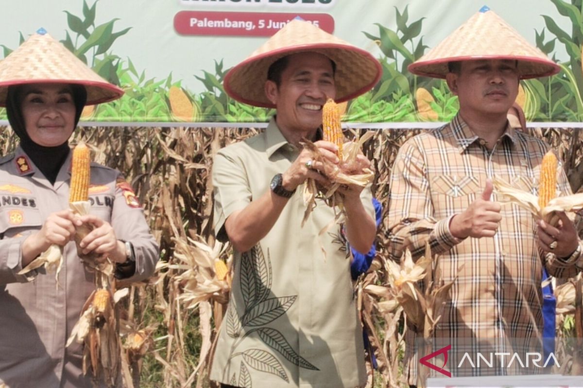 Ratu Dewa ajak warga Palembang tanam buah di rumah, tingkatkan kemandirian pangan