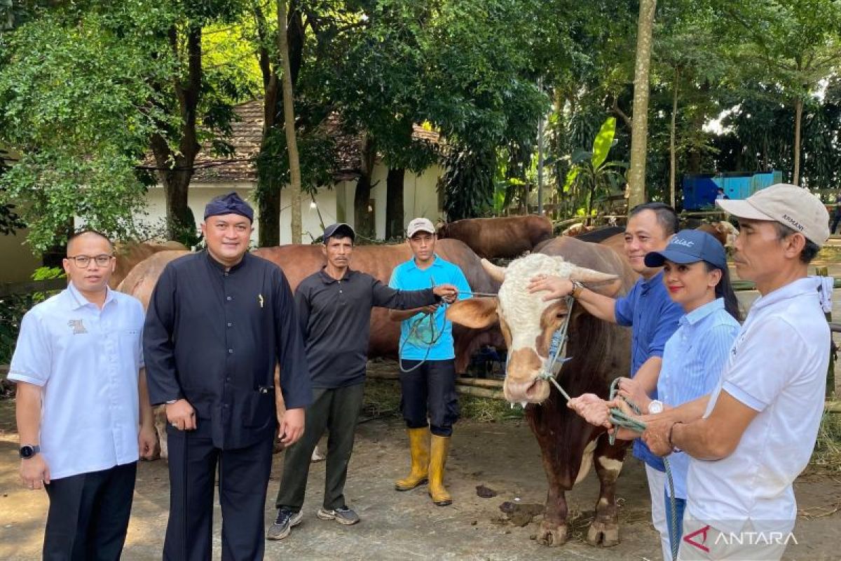 Pembagian Hewan Kurban oleh Prabowo