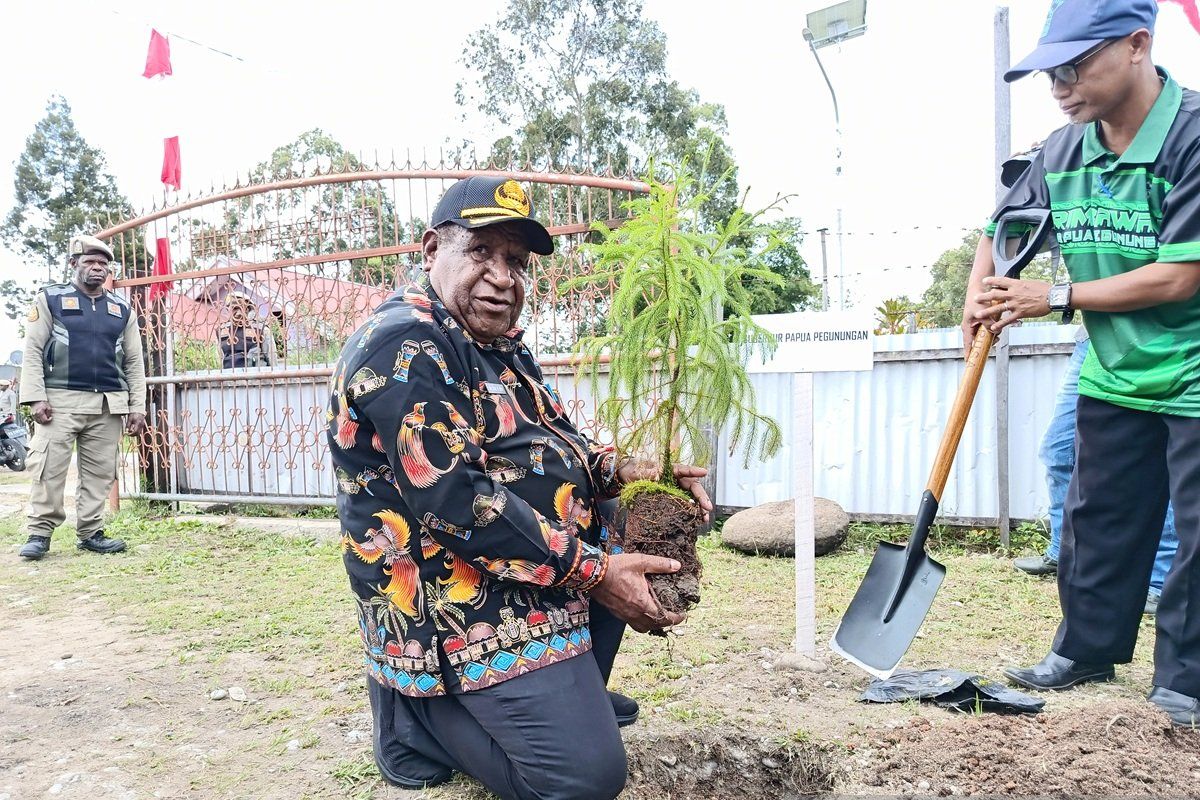 Pemprov Papua Pegunungan ajak generasi muda menanam pohon