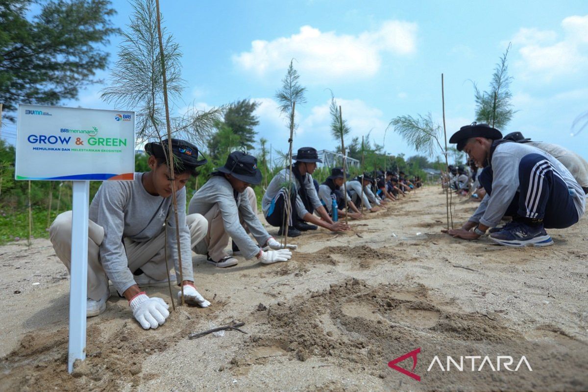 BRI pertegas komitmen dalam menjaga ekosistem lingkungan melalui BRI Menanam -- Grow & Green