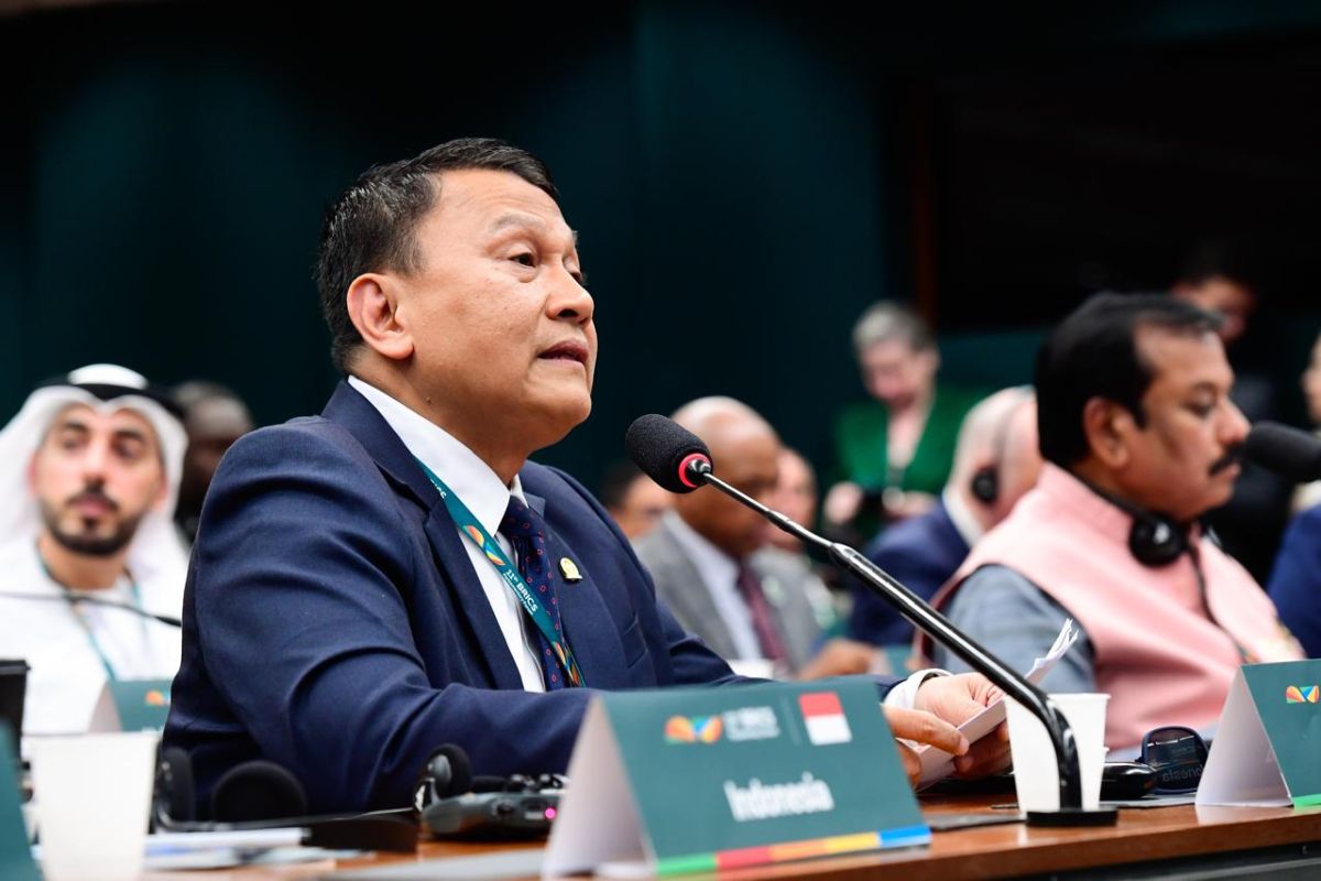 RI urges BRICS to unite against global challenges, unilateralism