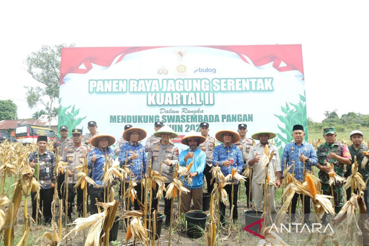 Kapolres Inhu panen raya jagung serentak kuartal II bersama kelompok tani