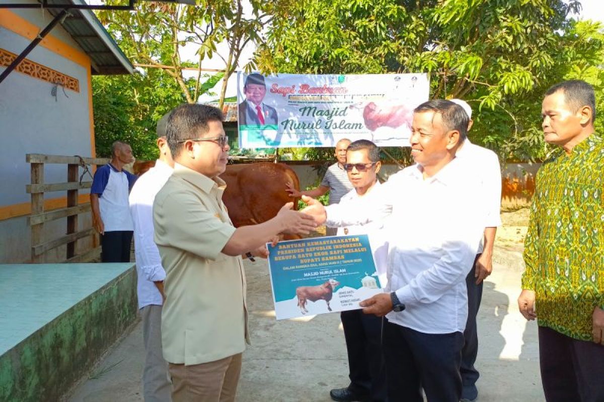 Bupati Sambas serahkan sapi kurban dari presiden ke warga Samustida