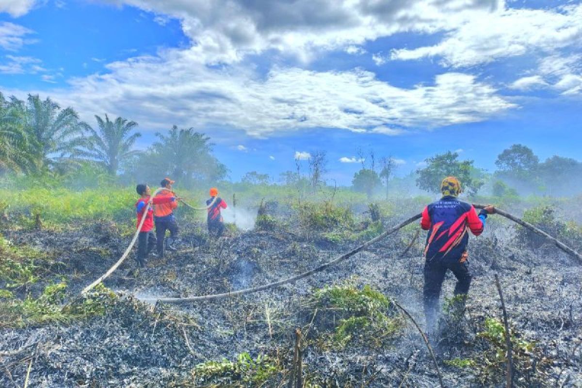 Kebakaran lahan mulai terjadi, BPBD Kotim tingkatkan kesiagaan