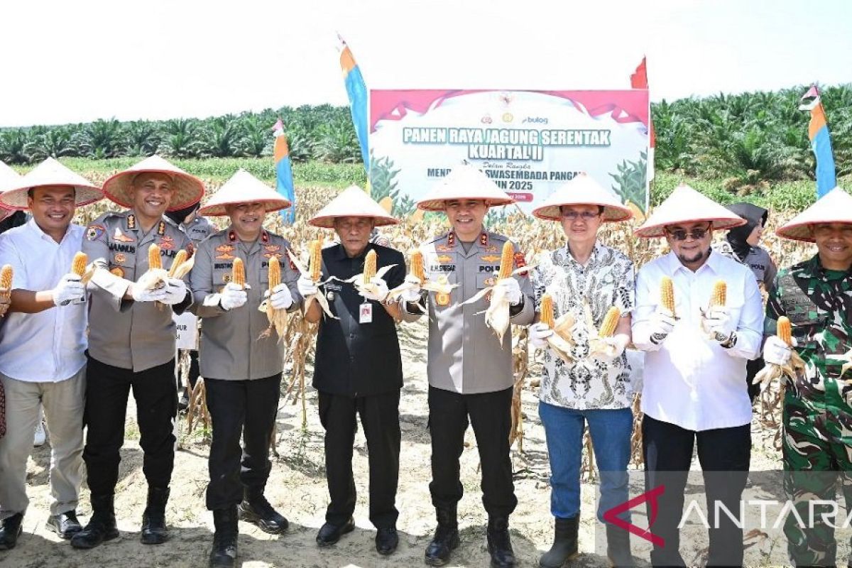 Kapolda Jambi panen raya 180 ton jagung program ketahanan pangan