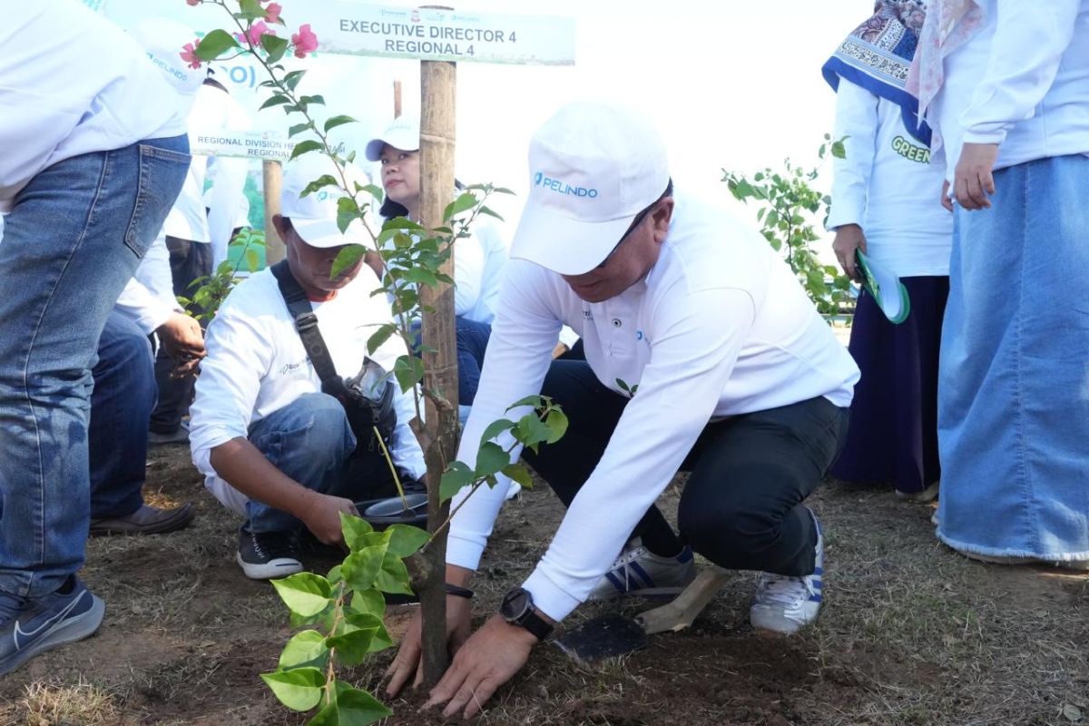 Pelindo tanam 40 ribu pohon serentak peringati Hari Lingkungan Hidup Sedunia pada Kamis