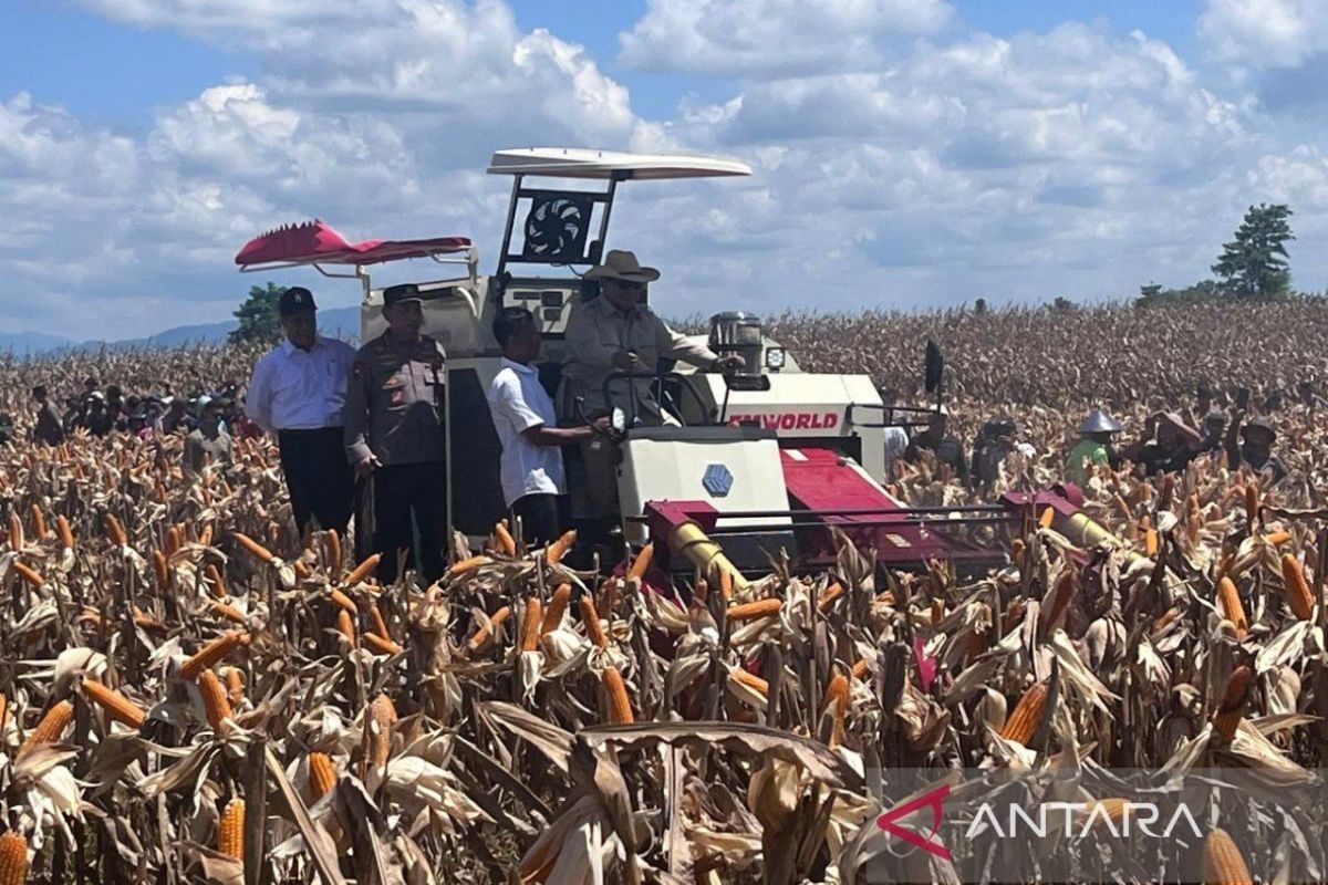Presiden Prabowo operasikan mesin panen corn combine harvester saat panen raya jagung