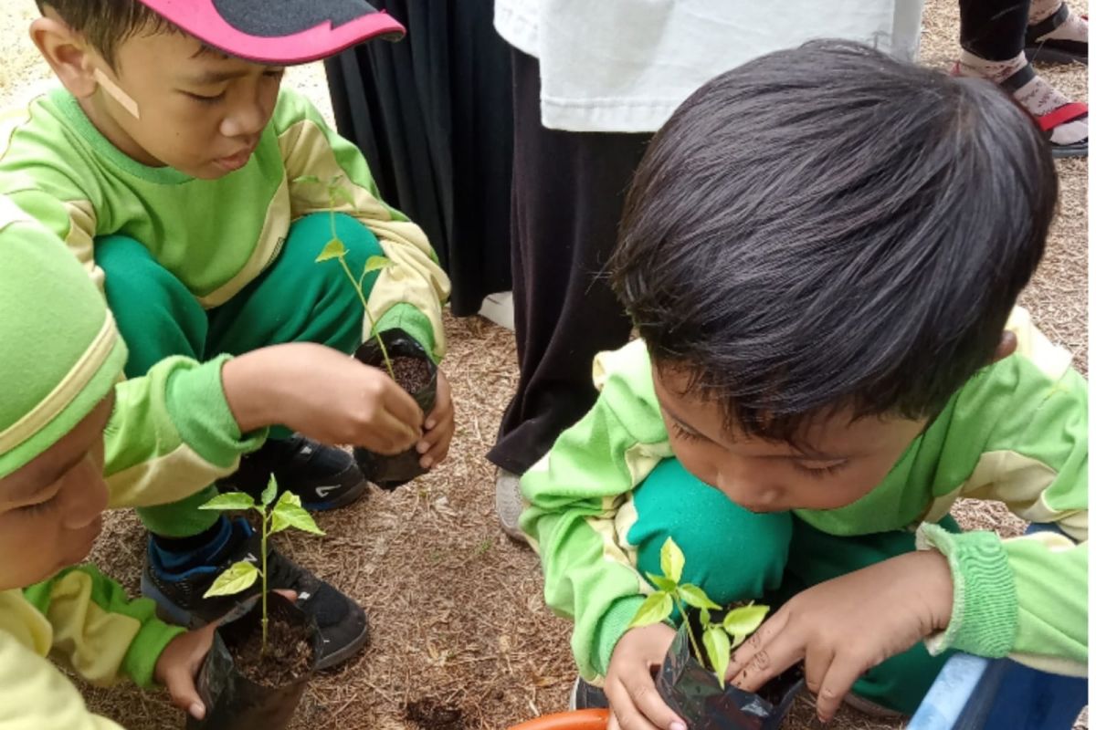 Gerakan Tanam Cabai Serentak dicanangkan di Mataram pada16 Juni 2025
