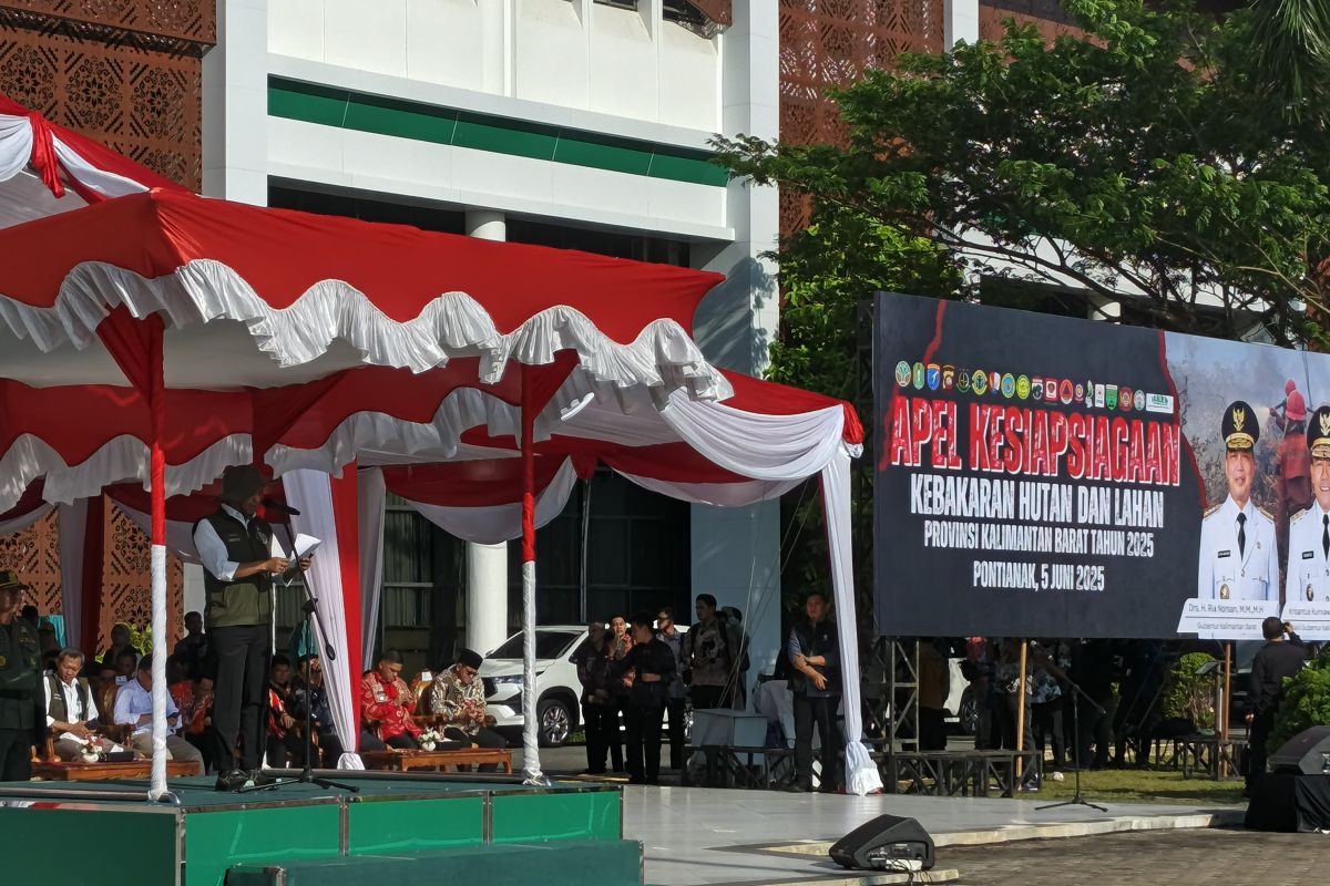 Significant drop in forest, land fires in past decade: minister
