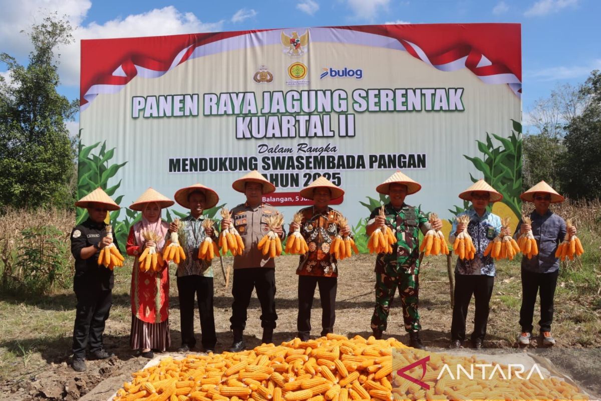 Bupati Balangan dukung penuh panen raya jagung dari Polres