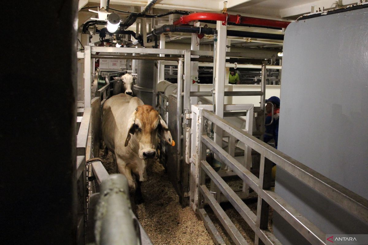 Indonesia, Australia perkuat kemitraan agribisnis lewat A-SEABX