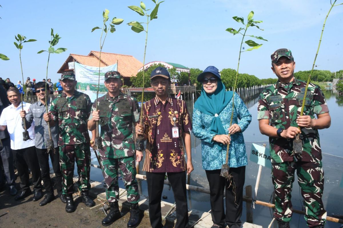 Pangdam Diponegoro perintahkan  jajaran tanam mangrove cegah abrasi