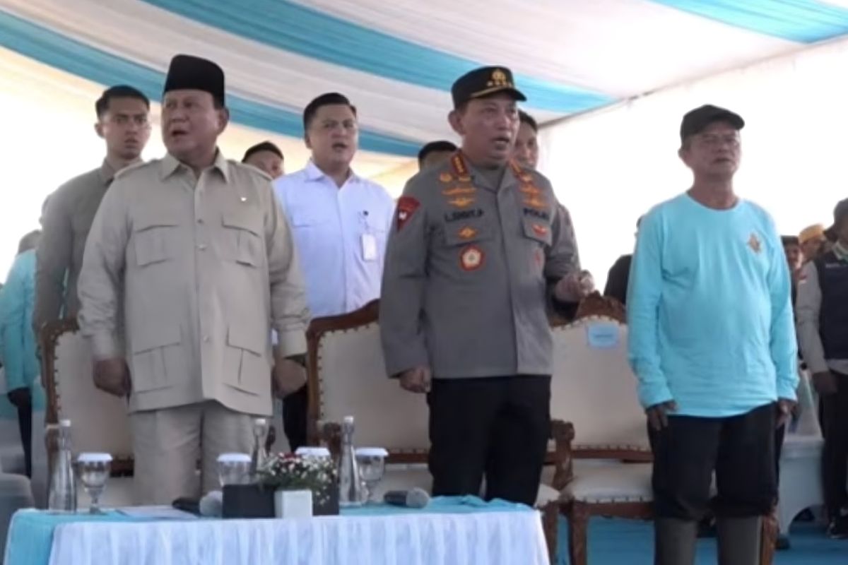 Hasil panen raya jagung pada Kuartal II capai 2,54 juta ton