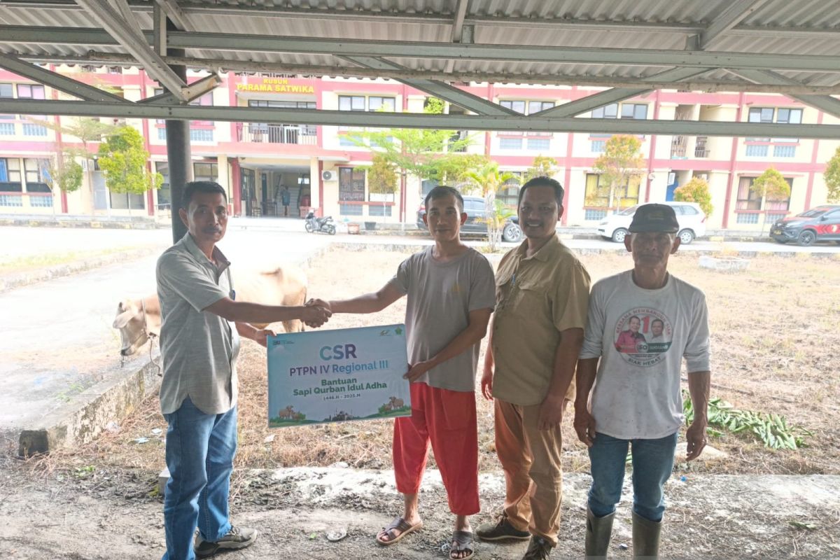 PalmCo Siapkan Ribuan Hewan Qurban