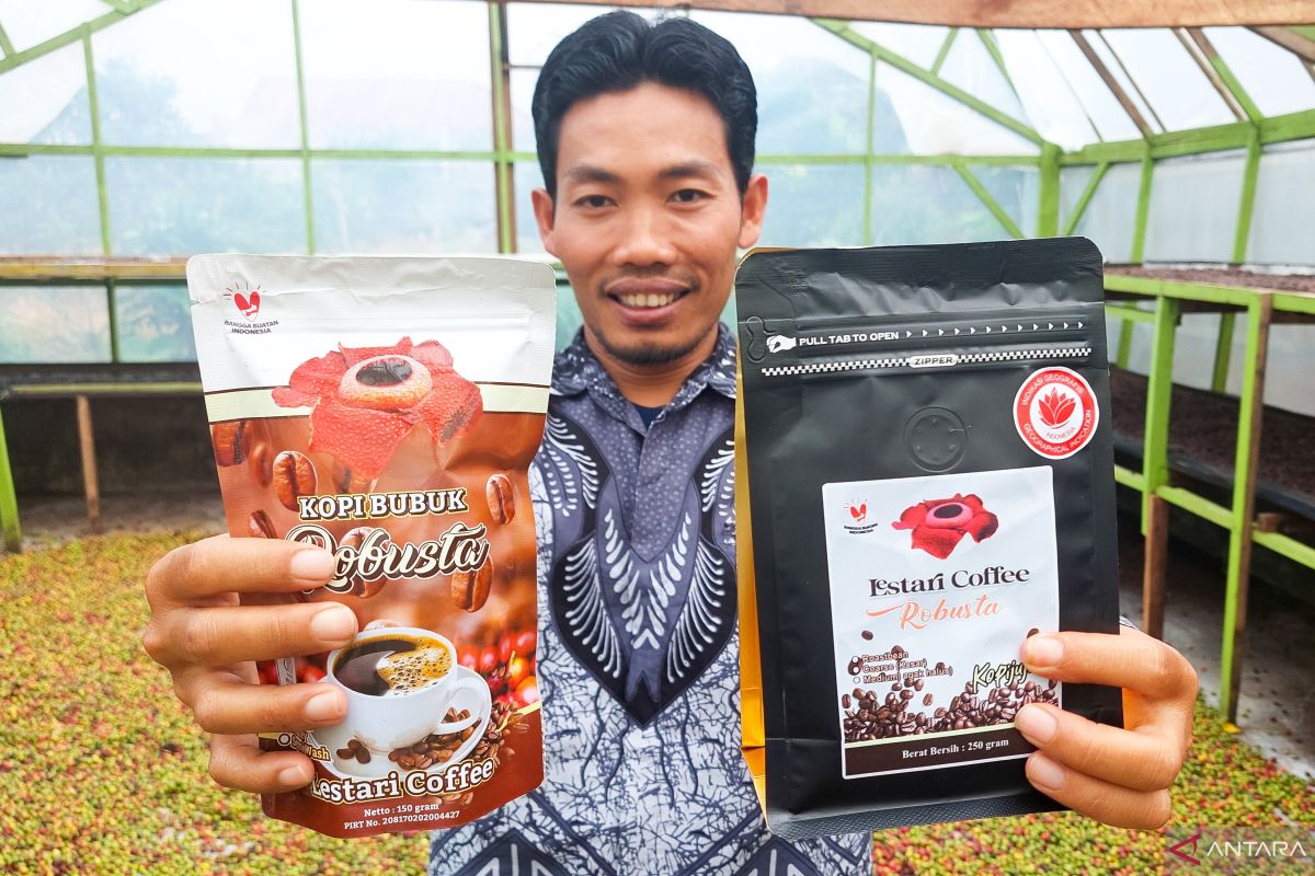 Cerita Lestari Kopi Bengkulu kini tak lagi sendiri dan tembus dunia
