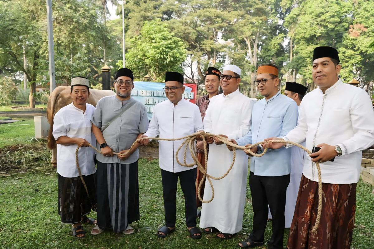 Gubernur Banten terima sapi kurban Presiden Prabowo 1,1 ton