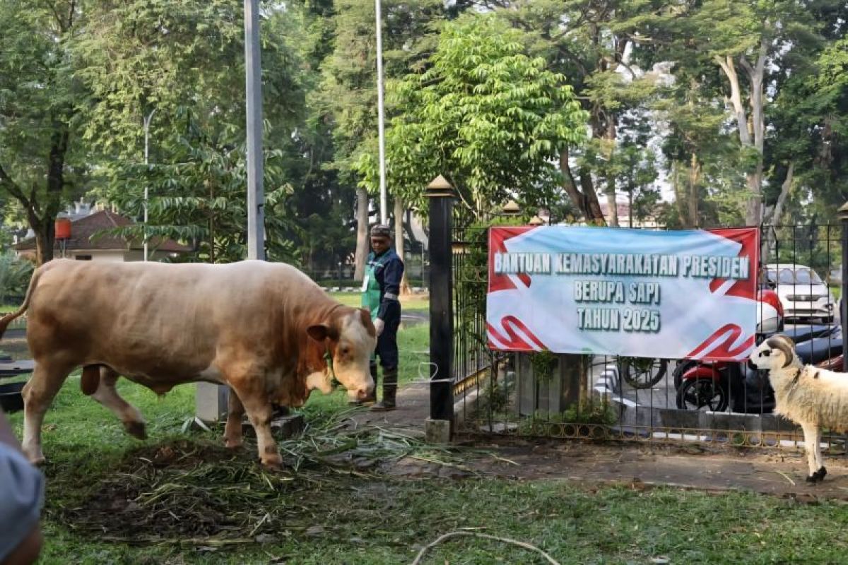 Masyarakat Banten diimbau jaga kebersihan daging kurban