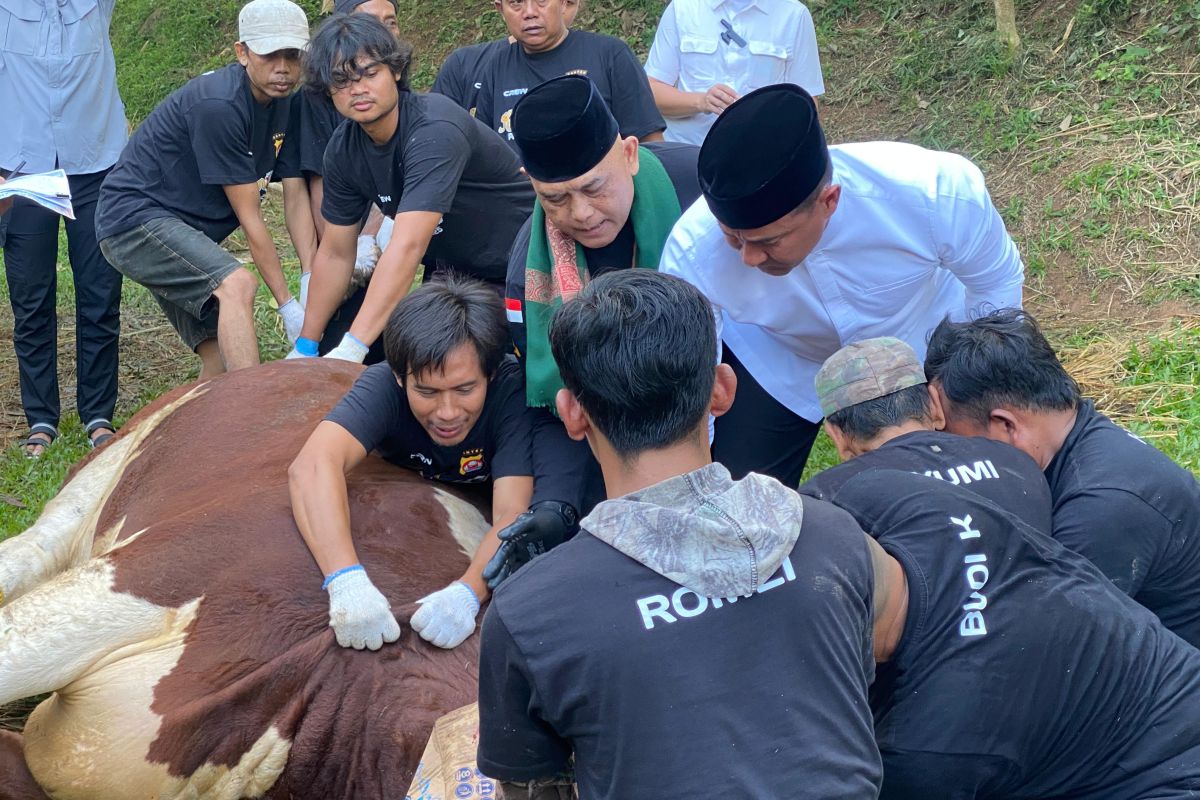 Polda Banten sembelih 137 hewan kurban, tekankan nilai pengabdian