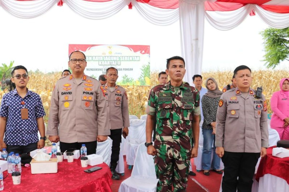 Polres Langkat panen raya jagung kuartal kedua