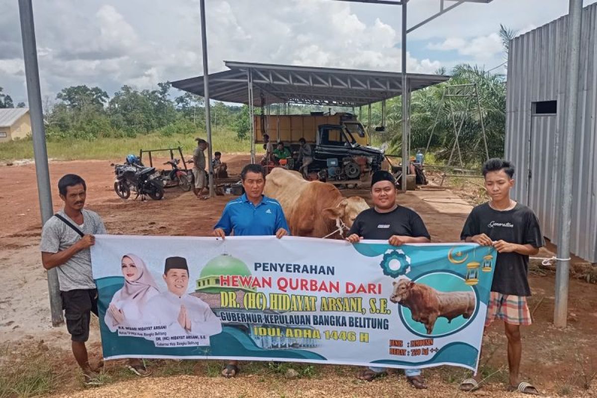 Gubernur Babel serahkan sapi kurban di Belitung-Belitung Timur