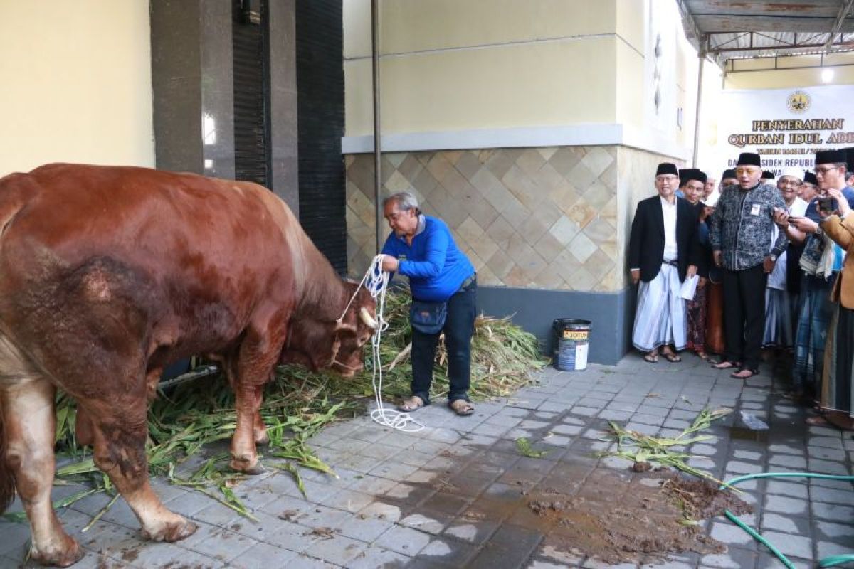 Wali Kota serahkan hewan kurban di Masjid Agung Tegal
