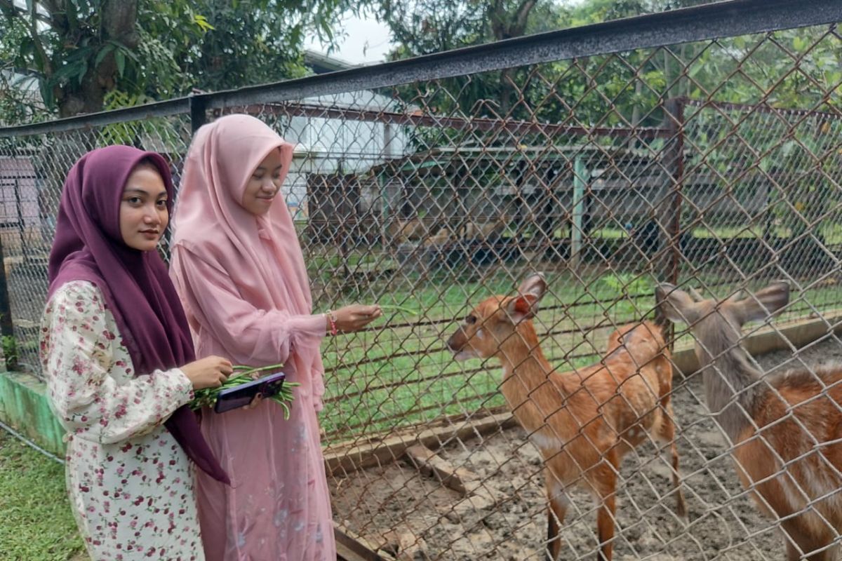 Ada tiga satwa baru di Semarang Zoo