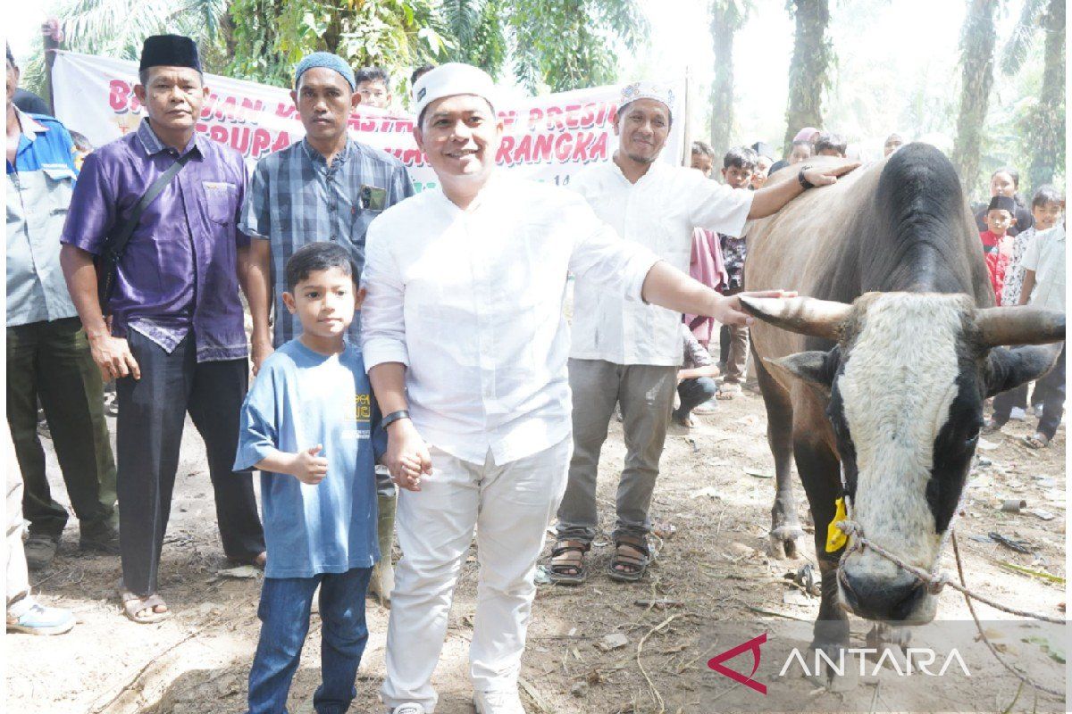 Bupati serahkan bantuan sapi kurban Presiden Prabowo ke masyarakat Palas