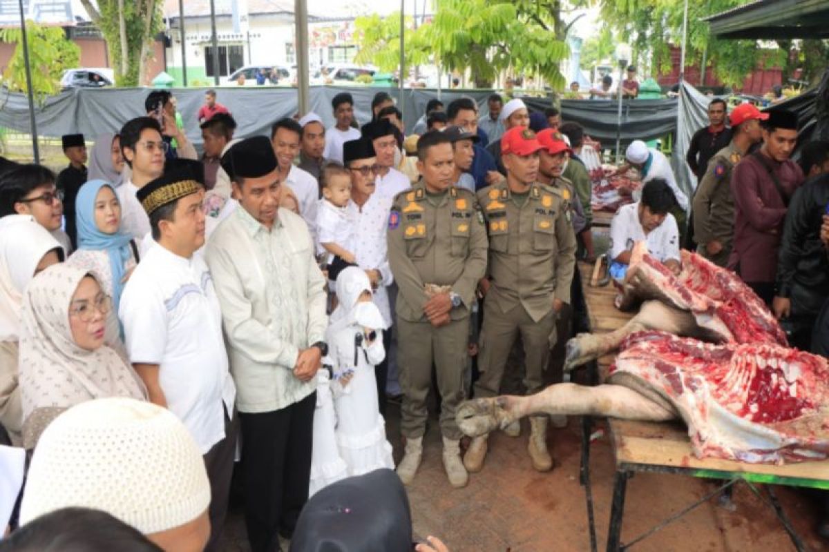 Bupati dan Wakil Bupati Kampar saksikan penyembelihan hewan kurban