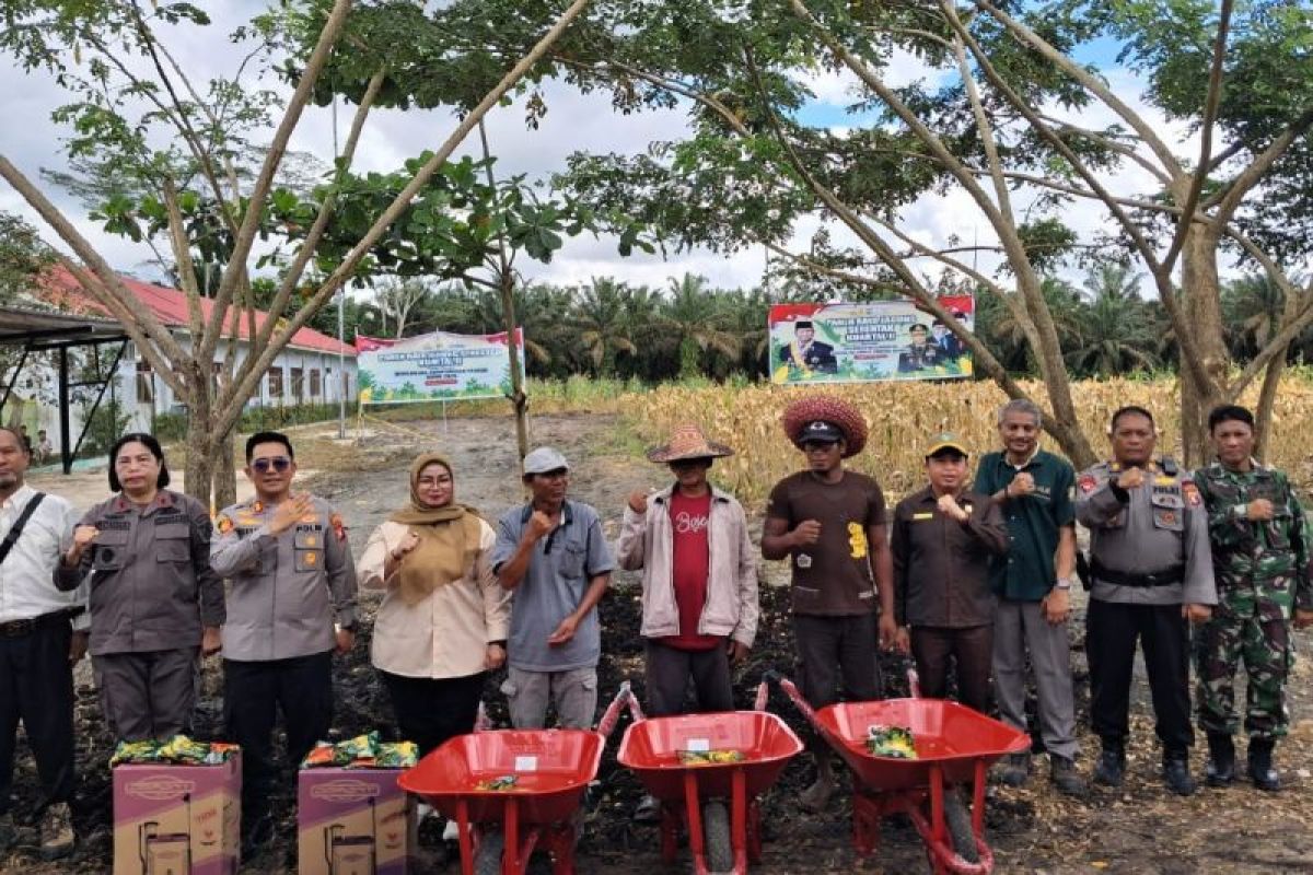 Wabup Kotim: Sukses panen raya jagung bukti keberhasilan peningkatan pertanian