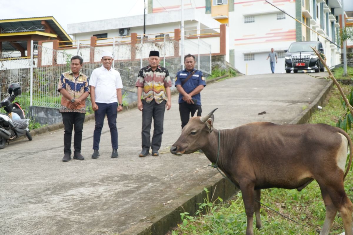 Wagub Malut serahkan bantuan hewan kurban