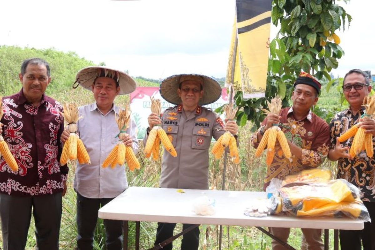 Kapolda Kaltara Hadiri Panen Raya Jagung Serentak di Desa Kelubir "Wujud Komitmen Dukung Swasembada Pangan Nasional"