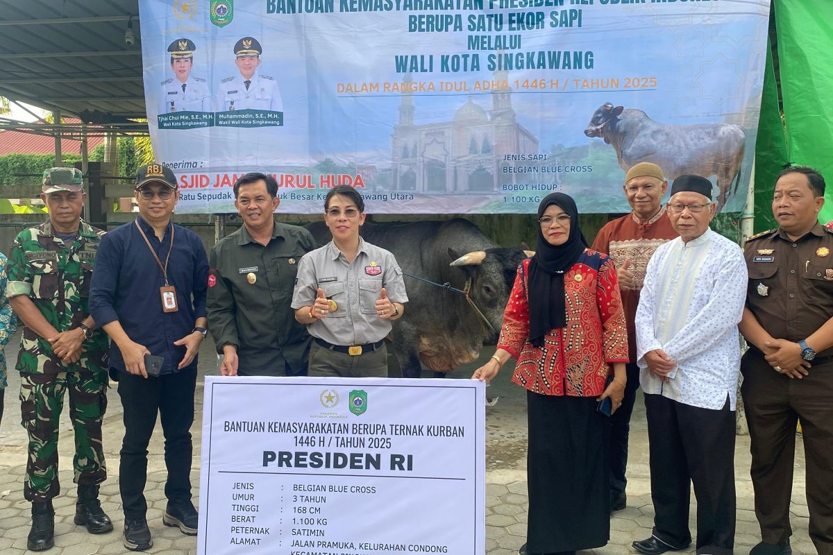 Pemkot Singkawang menyerahkan bantuan sapi kurban dari Presiden