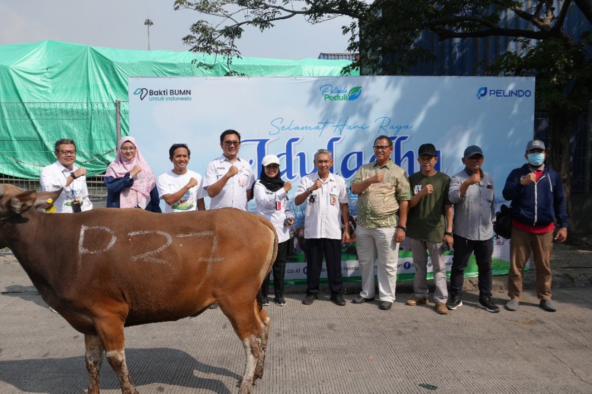 SPSL salurkan hewan kurban ke berbagai wilayah di Indonesia