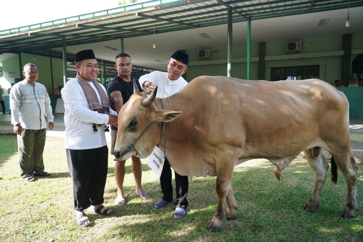 Kodam XIII/Merdeka sembelih 5 hewan kurban