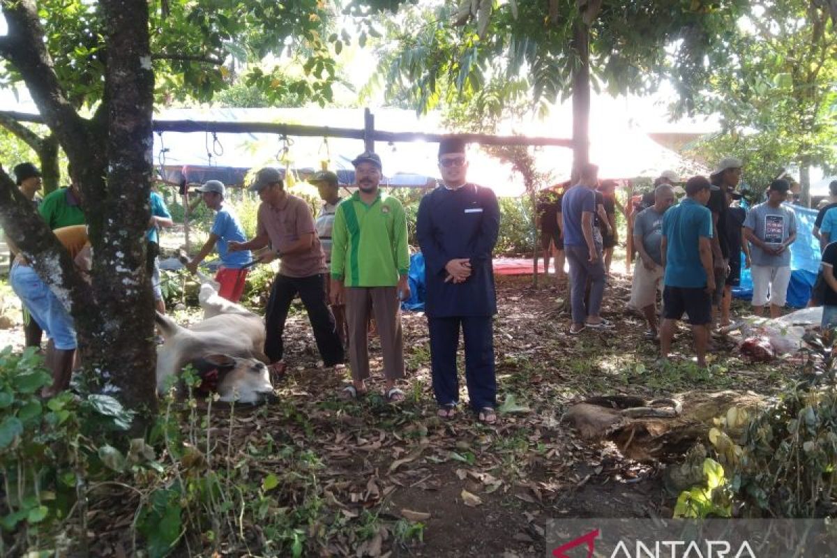 LDII Agam potong 15 hewan kurban pada Idul Adha