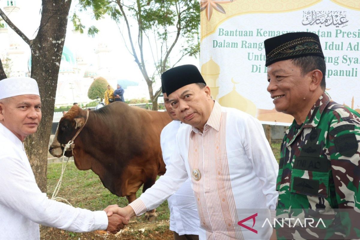 Kurban Presiden disalurkan di Tapsel, warga antusias rayakan Idul Adha