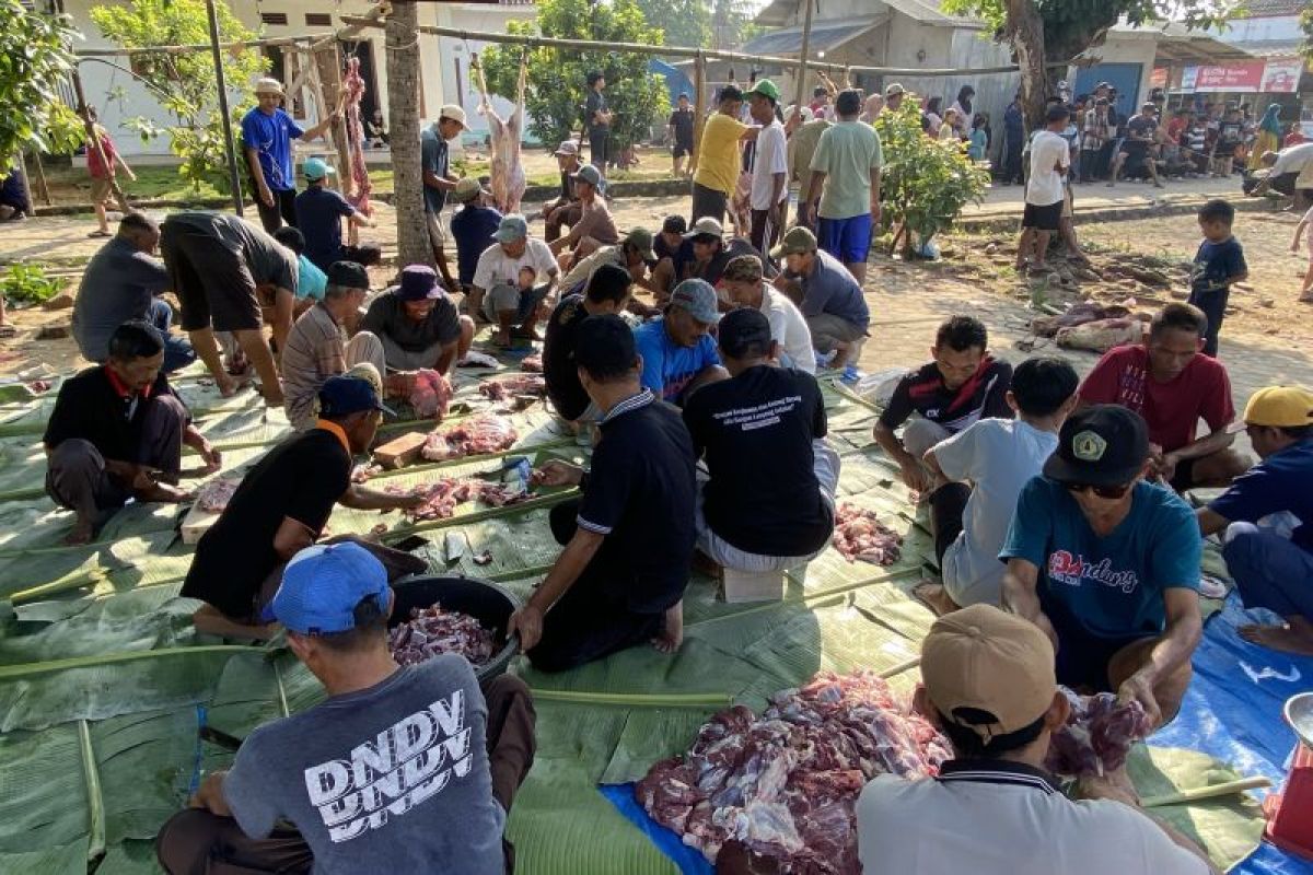 Masjid Baitul Mutaqin bagikan 550 bungkus hewan kurban